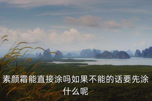 素顏霜能直接涂嗎如果不能的話要先涂什么呢