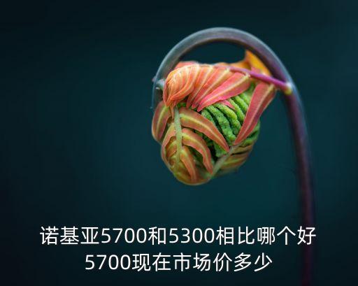 諾基亞5700和5300相比哪個好5700現(xiàn)在市場價多少