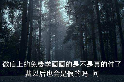 微信上的免費學畫畫的是不是真的付了費以后也會是假的嗎  問