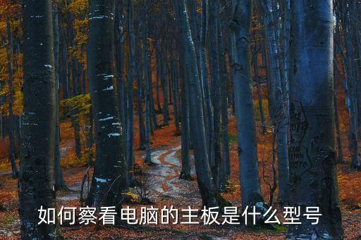 查看電腦主板型號(hào)，電腦常識(shí)怎樣查看電腦主板的型號(hào)