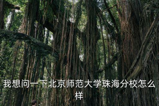 我想問一下北京師范大學珠海分校怎么樣
