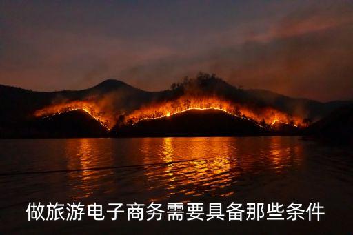 旅游電商，旅游電子商務 功能