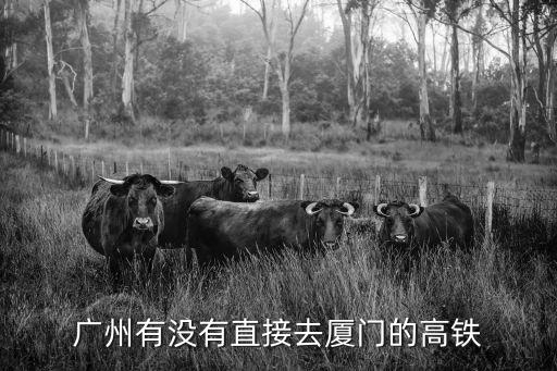 廣州可以過廈門嗎，花都長途車站和廣州北站可以去福建廈門嗎車票和時間多少