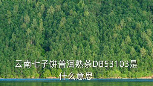 七子餅，七子餅和普洱茶是一個東西嗎