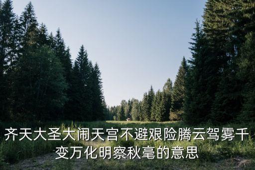 齊天大圣大鬧天宮不避艱險騰云駕霧千變萬化明察秋毫的意思
