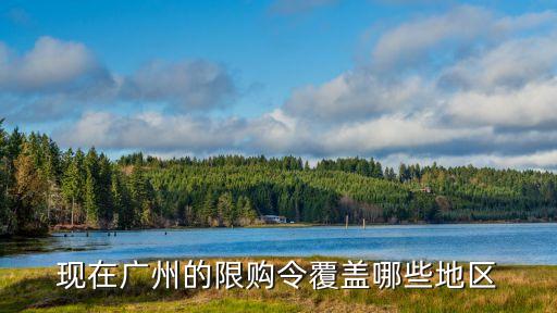 現在廣州的限購令覆蓋哪些地區