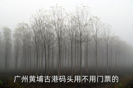 廣州黃埔港可以進去嗎，廣州黃埔港前路可以進去外地車嗎
