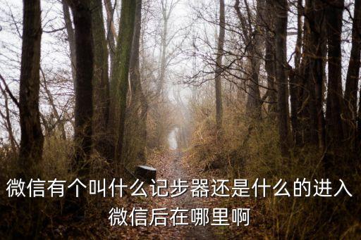 微信計步器，微信上的記步軟件