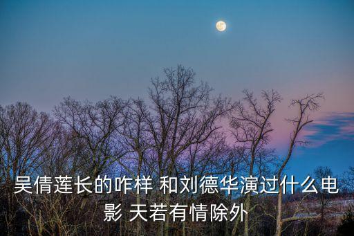 吳倩蓮長的咋樣 和劉德華演過什么電影 天若有情除外