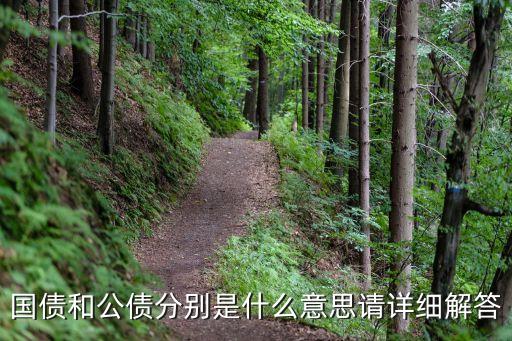 公債，什麼是公債