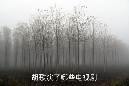 胡歌演的電視劇，胡歌演的連續劇有哪些