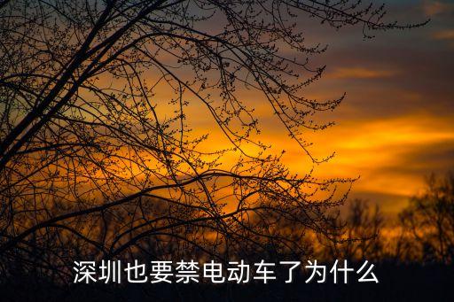 深圳也要禁電動車了為什么
