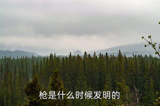 槍是什么時候發明的