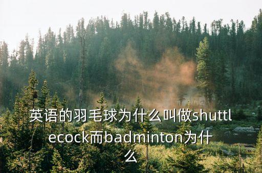 英語的羽毛球為什么叫做shuttlecock而badminton為什么
