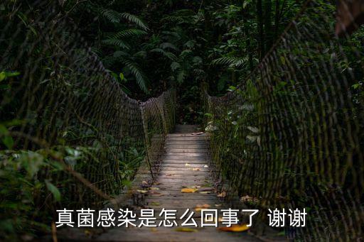 為什么會真菌感染，真菌感染怎么回事有知道的么回個話哈