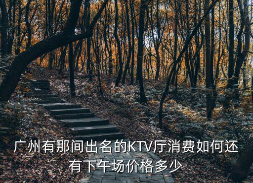 廣州星河灣ktv消費，現在ktv消費一般都多少錢