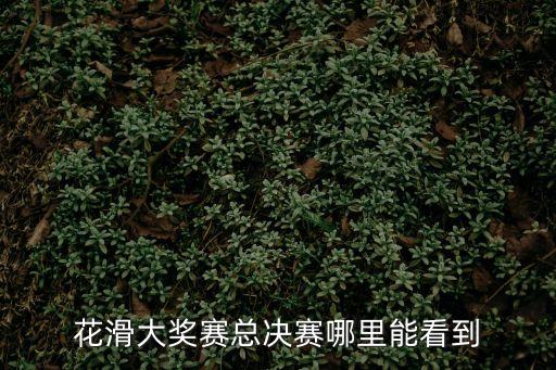 花滑大獎賽總決賽哪里能看到