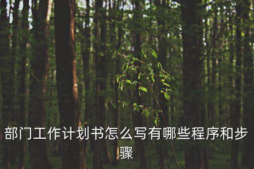 部門工作計(jì)劃書怎么寫有哪些程序和步驟