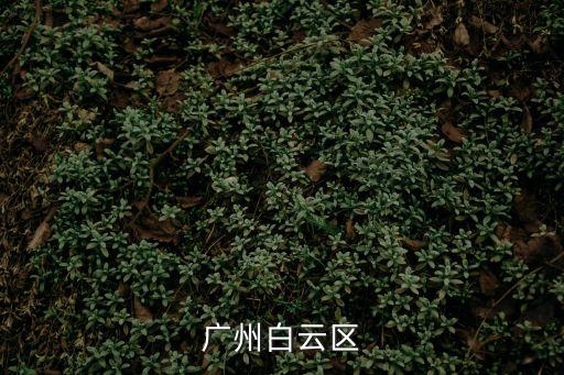 廣州白云區(qū)