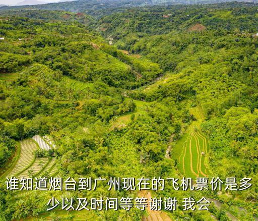 從煙臺蓬萊國際機場坐飛機到廣州，誰知道煙臺到廣州現在的飛機票價是多少以及時間等等謝謝 我會