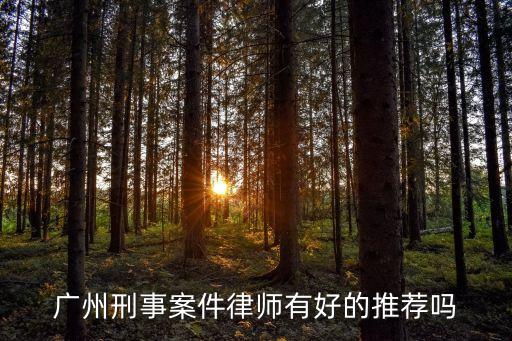 廣州刑事案件律師有好的推薦嗎