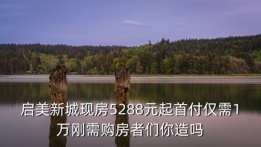 啟美新城現房5288元起首付僅需1萬剛需購房者們你造嗎