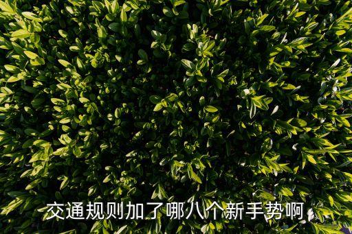 交通規則加了哪八個新手勢啊