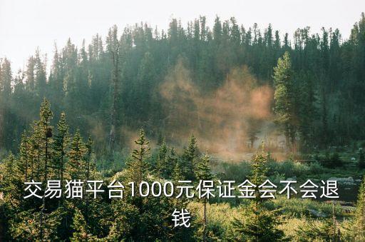 在廣州交易貓的保證金能退款嗎，請問一下我在交易貓上租游戲賬號然后要付押金押金是放在平臺