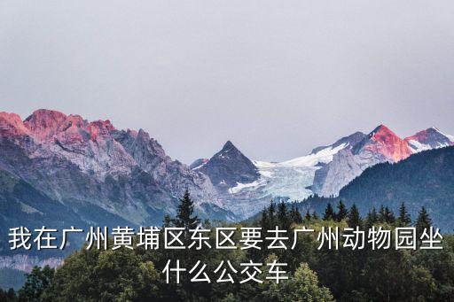 我在廣州黃埔區(qū)東區(qū)要去廣州動物園坐什么公交車