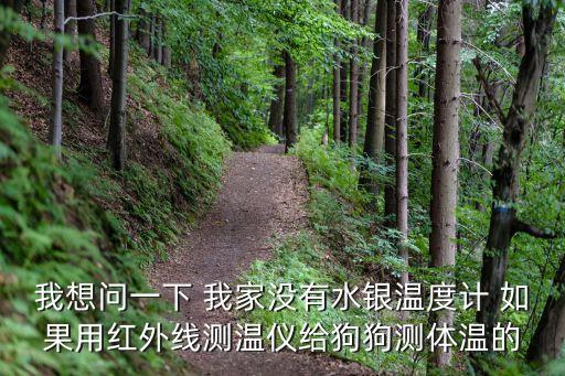 我想問一下 我家沒有水銀溫度計 如果用紅外線測溫儀給狗狗測體溫的