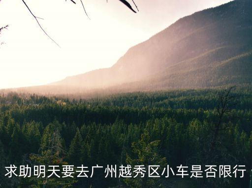 求助明天要去廣州越秀區(qū)小車是否限行