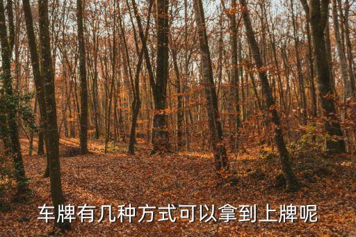 廣州如何盡快上車牌，在廣州如何才能快速上到車牌