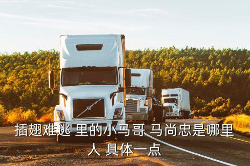 廣州橫店小馬哥，小馬哥出名嗎