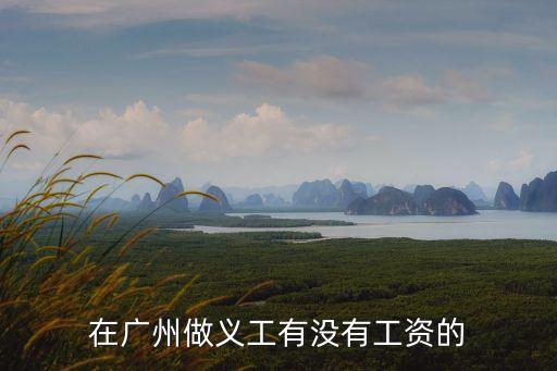 廣州志愿者非凡哥，在廣州做義工有沒有工資的