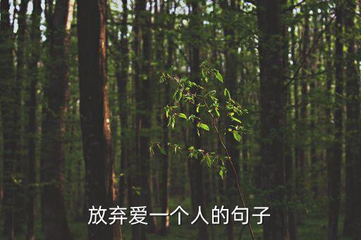 放下一個人的句子，有沒有想放棄一個人的悲傷的個性簽名