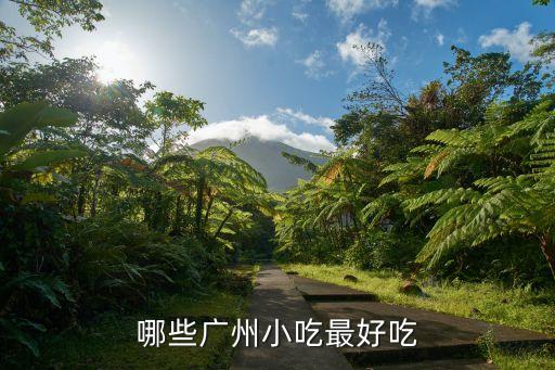 廣州小浩美食全集，廣州海珠區小洲有哪些特色美食