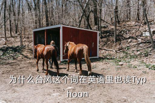 臺風英語，臺風用英語怎么說