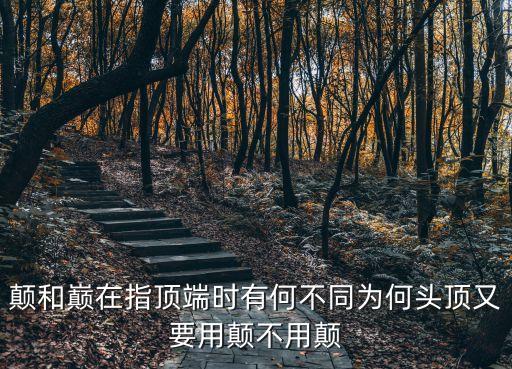 顛和巔在指頂端時有何不同為何頭頂又要用顛不用顛