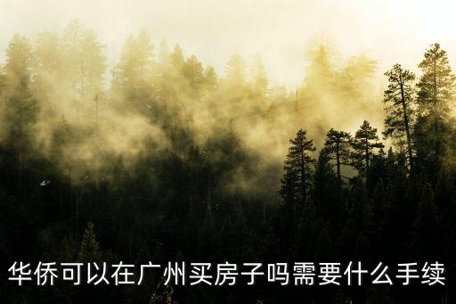 華僑可以在廣州買房子嗎需要什么手續