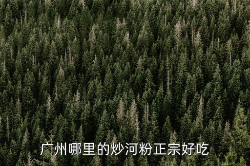 廣州沙河粉老字號，急求高分懸賞廣州最好吃的沙河粉在哪