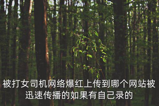 被打女司機(jī)網(wǎng)絡(luò)爆紅上傳到哪個(gè)網(wǎng)站被迅速傳播的如果有自己錄的