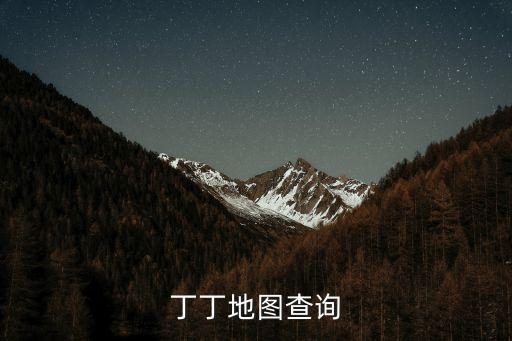丁丁地圖查詢