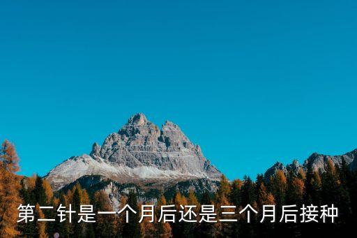 1劑疫苗什么時候到廣州，廣州京溪什么時間打預防針星期幾 上午還是下午