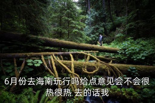 6月份去海南玩行嗎給點意見會不會很熱很熱 去的話我