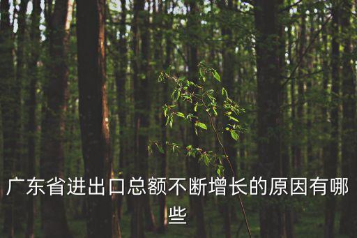 廣東省進(jìn)出口總額不斷增長的原因有哪些