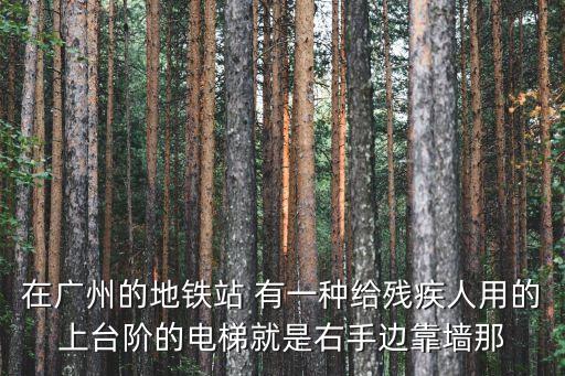 在廣州的地鐵站 有一種給殘疾人用的上臺階的電梯就是右手邊靠墻那