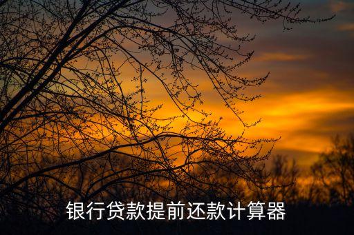 提前還貸款計算器，多次提前還貸計算器