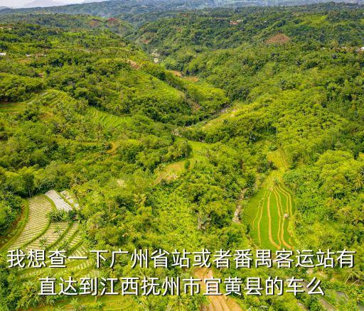 廣州 撫州客車，我想查一下廣州省站或者番禺客運(yùn)站有直達(dá)到江西撫州市宜黃縣的車么