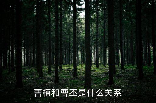 曹植和曹丕是什么關系