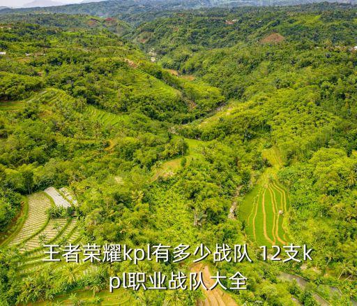 廣州ttg是不是kpl，王者榮耀游戲中kpl有多少職業戰隊